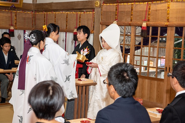 大阪府東大阪市 枚岡神社 白無垢＋綿帽子 色打掛(八重重ね) | 神前式 ...